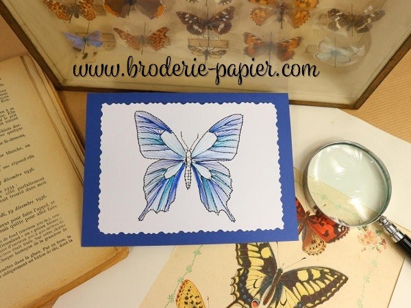 Broderie sur papier Papillon bleu