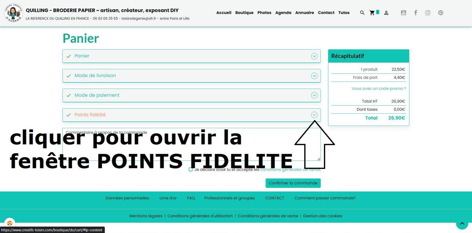 04 ouvrir la fenetre points de fidelite