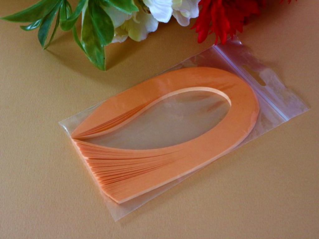 14 bande papier quilling loisir creatif abricot