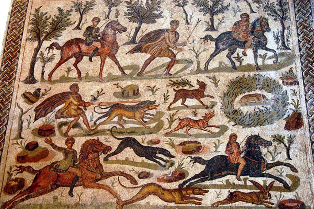 14chasse el jem tunisie