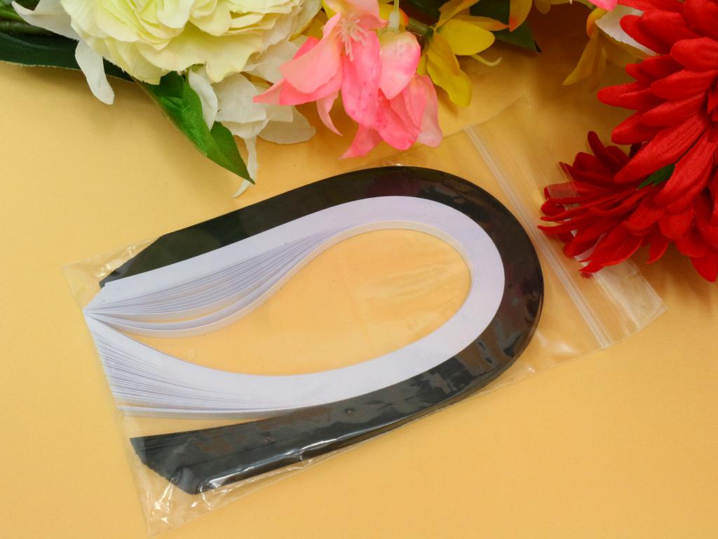 Assortiment bande de papier quilling noir blanc loisir creatif eugenie 1