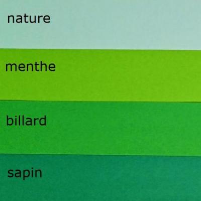 Assortiment degrade vert fonce bande papier quilling paper art loisirs creatifs eugenie paperolles copie