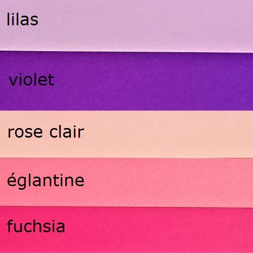 Assortiment rose degrade violet bande papier quilling paper art loisirs creatifs eugenie paperolles