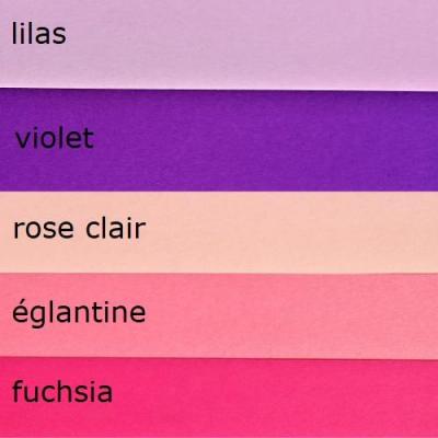 Assortiment rose degrade violet bande papier quilling paper art loisirs creatifs eugenie paperolles