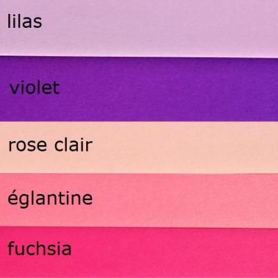100 bandes de papier quilling assortiment ROSES / VIOLETS  - 160g - 5mm