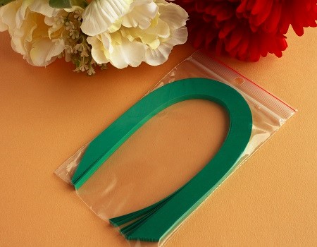 Bande papier quilling loisir creatif vert sapin
