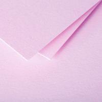 Bande papier quilling loisirs creatifs eugenie rose
