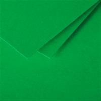 Bande papier quilling loisirs creatifs eugenie vert sapin