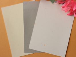 Broderie sur papier care a broder fantaisie
