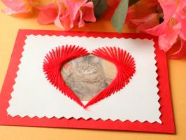 Broderie sur papier carte a broder photo