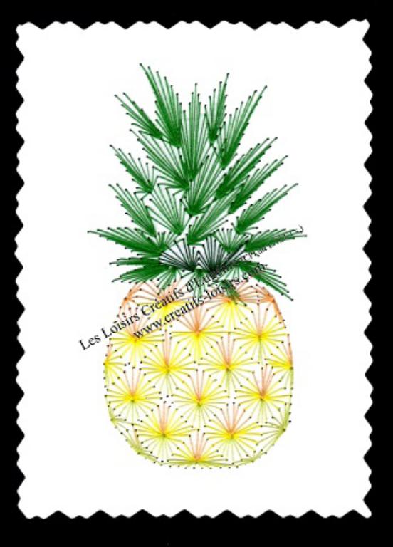 Carte a broder broderie sur papier ananas loisir creatif eugenie 2