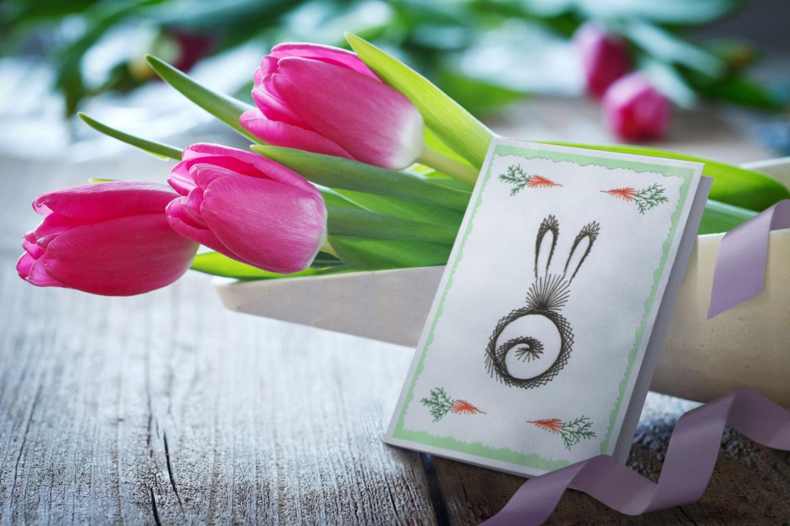 Carte a broder lapin loisir creatif eugenie