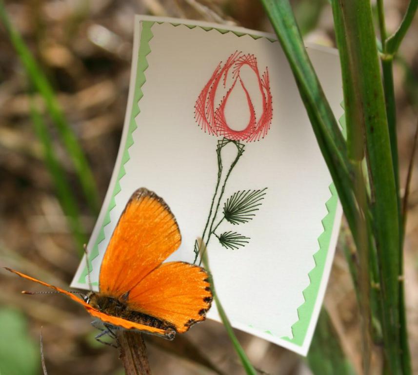 Carte a broder rose loisir creatif eugenie
