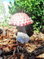Champignon en mosaique 1