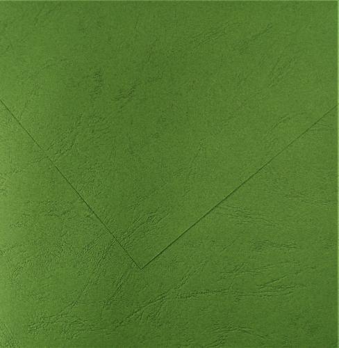 Feuille papier a4 cuir vert empire 270g quilling carte a broder broderie sur papier