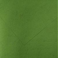 Feuille papier a4 cuir vert empire 270g quilling carte a broder broderie sur papier