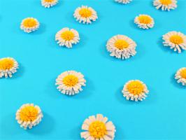 Fleur paquerette quilling papier roule modele facile