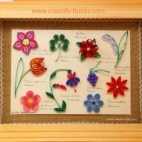 Kit quilling fleurs loisirs creatifs eugenie herbier