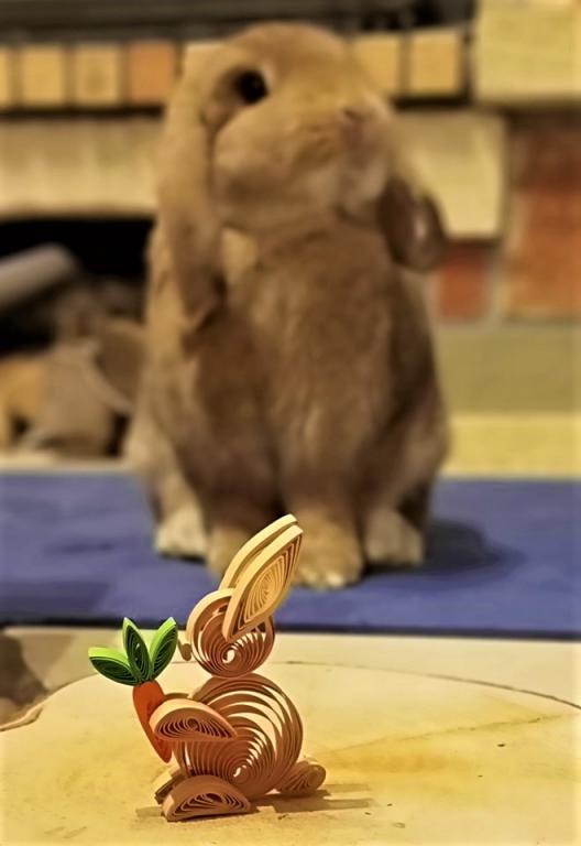 Lapin quilling animaux paperolles papier roule bande loisirs creatif eugenie atelier