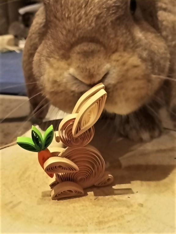Lapin quilling papier roule paperolles loisirs creatif eugenie