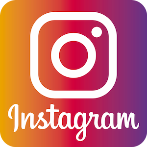 Logo instagram loisirs creatifs eugenie quilling