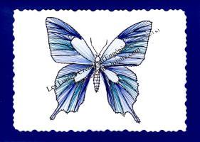 Papillon bleu carte a broder broderie papier loisir creatif eugenie