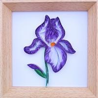 Tableau quilling fleur iris violette bande papier