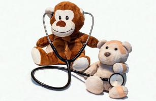 Teddy bears 1936200 640