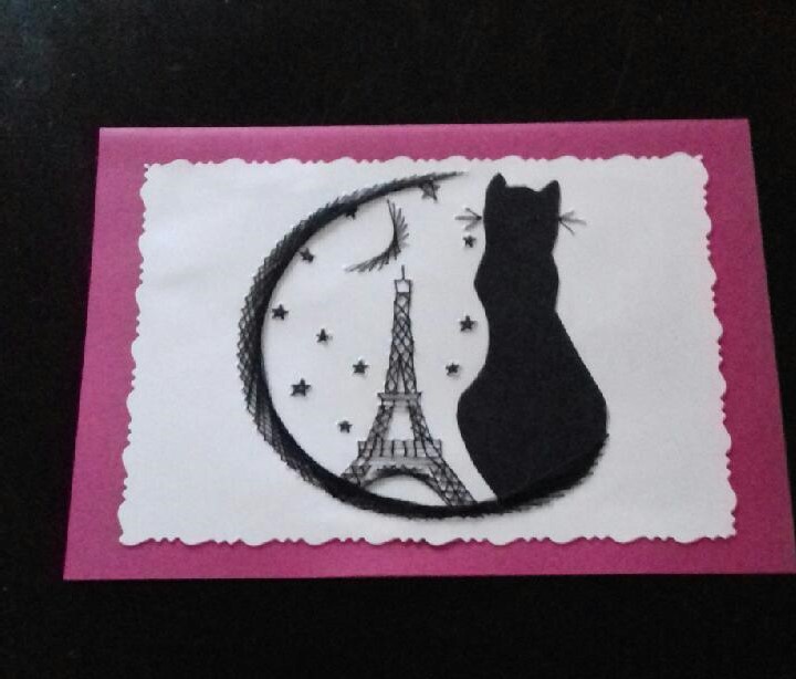 Veronique chat paris janvier 2017 carte a broder